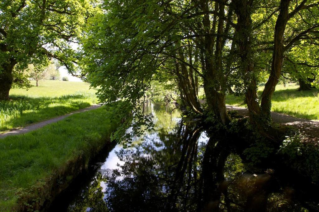 Tully'S Hotel Castlerea Buitenkant foto